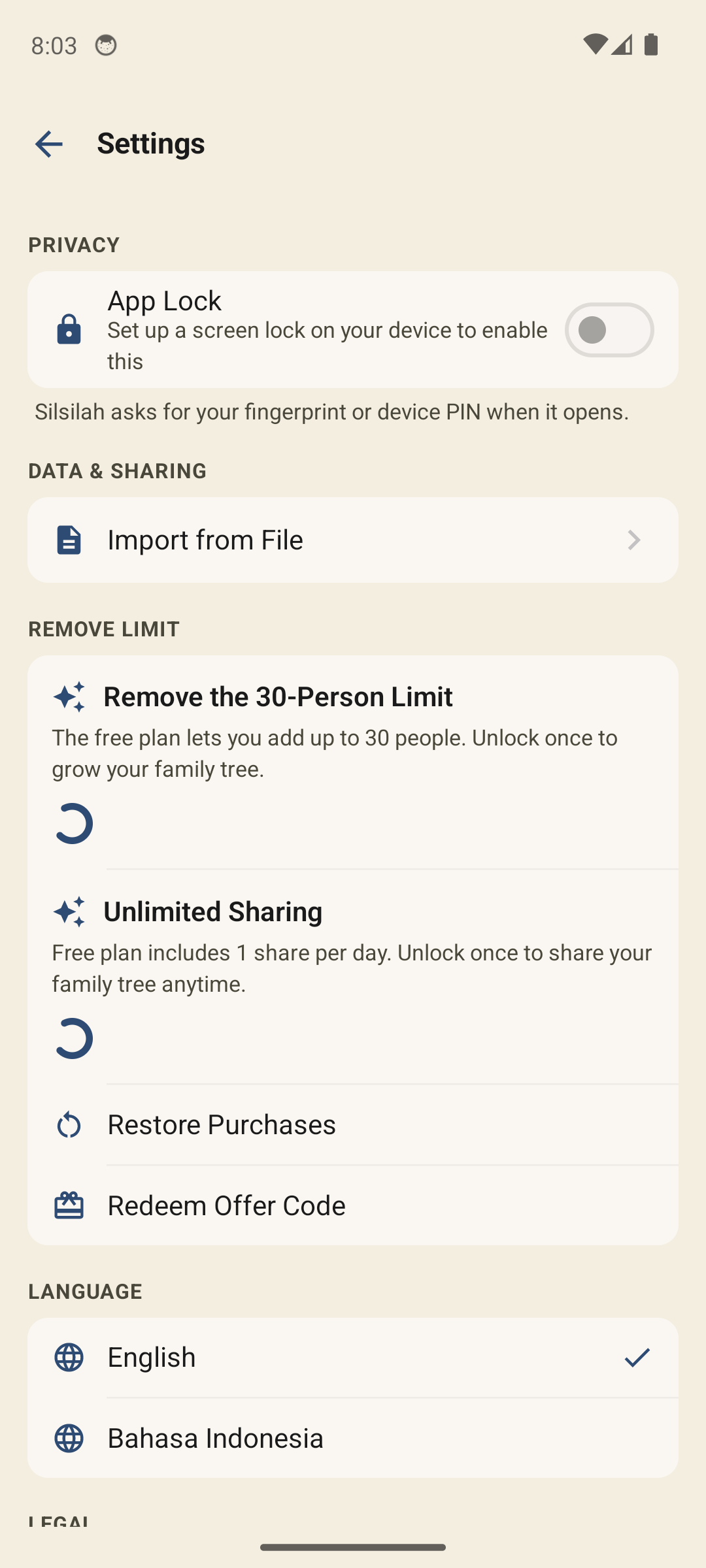 App lock and offline data settings on Android