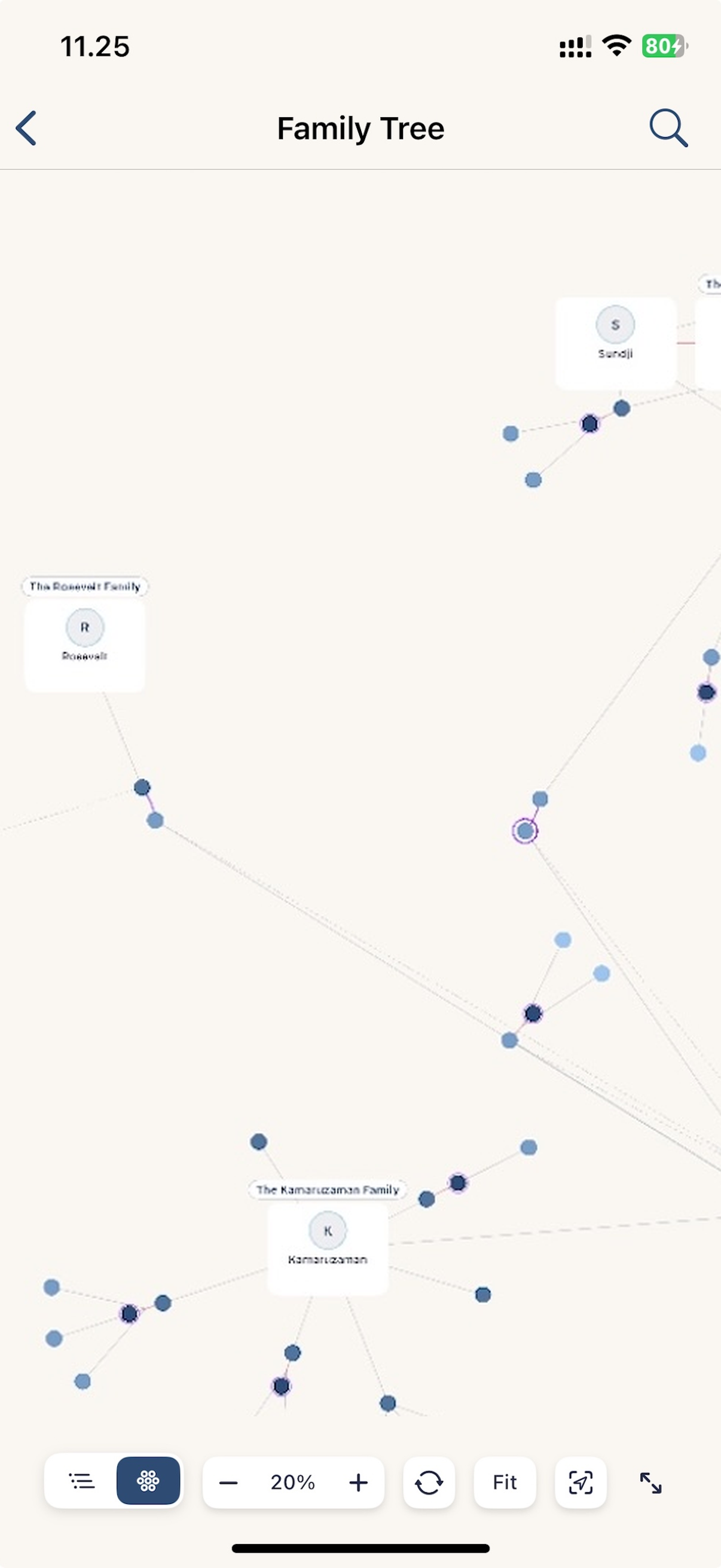 Family clusters view grouped around founding ancestors