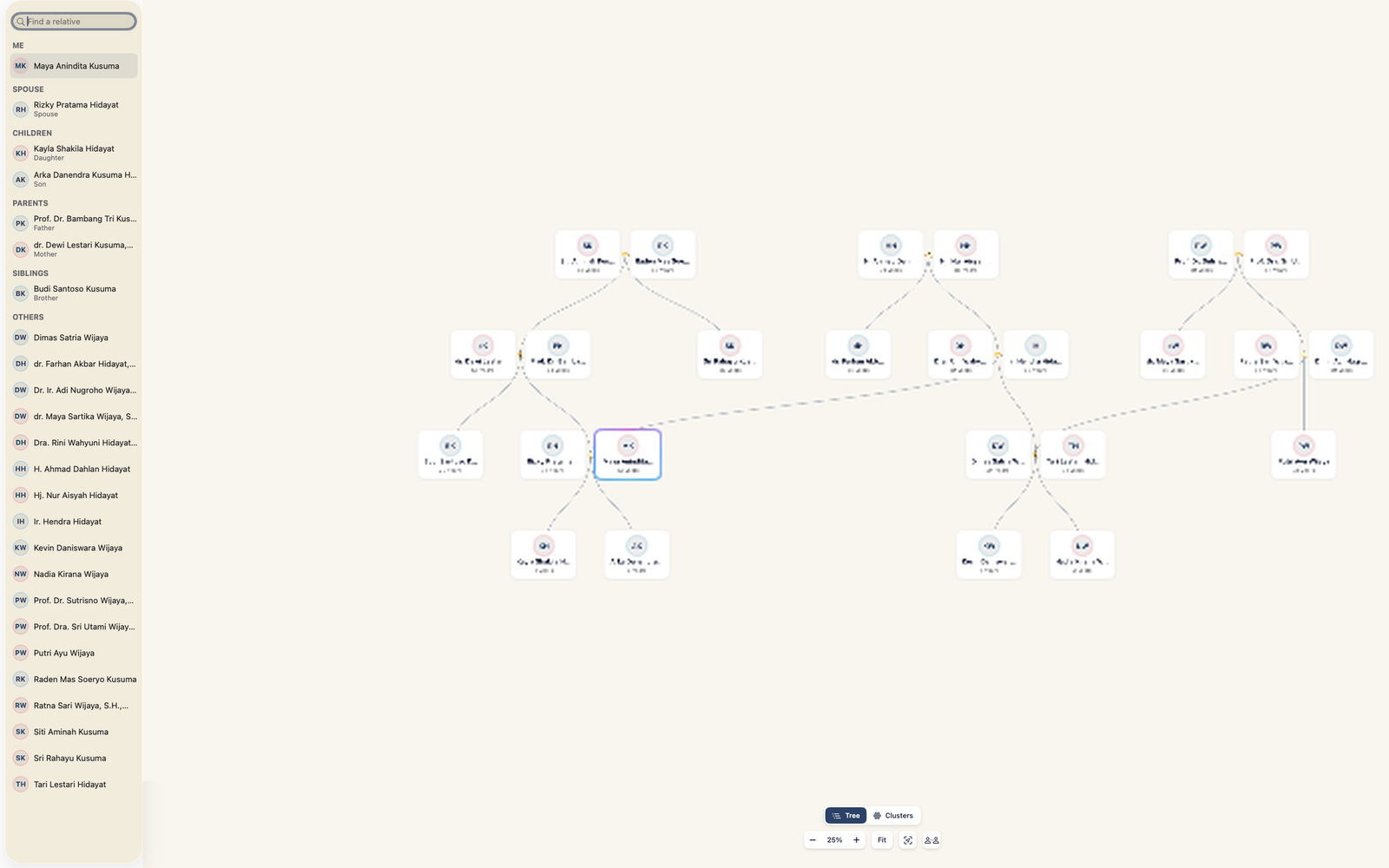 The tidy family tree diagram in the Mac app